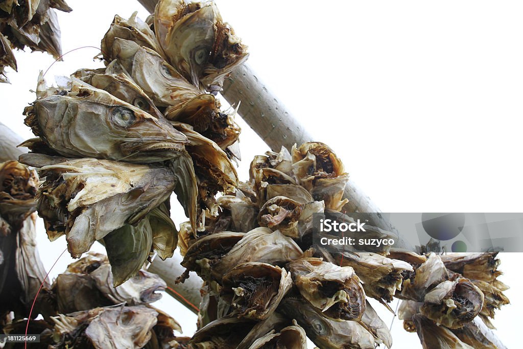 Рыба головки Сушить - Стоковые фото Без людей роялти-фри