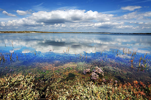 Chichester Harbour viewed from West Wittering, Sussex, England  chichester stock pictures, royalty-free photos & images