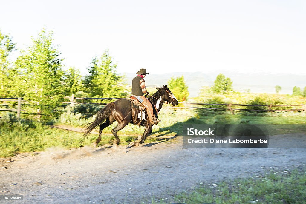 Cowboy Galloping lungo una strada in terra battuta - Foto stock royalty-free di Albero