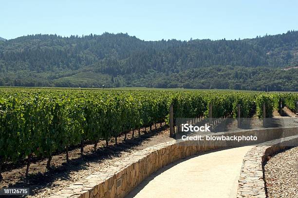 Kalifornien Weingut Stockfoto und mehr Bilder von Baum - Baum, Berg, Fotografie
