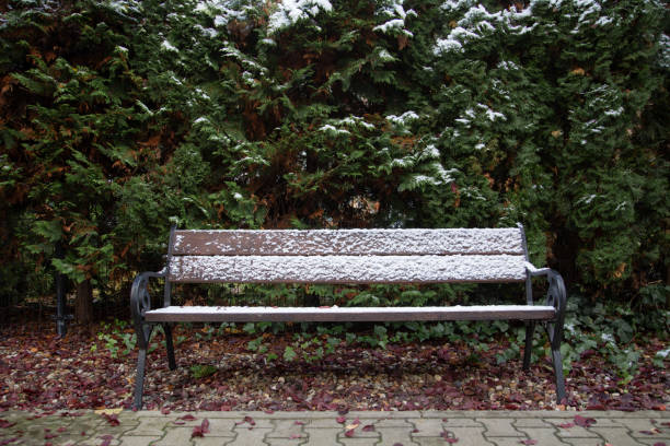 wooden bench in first snow close up
