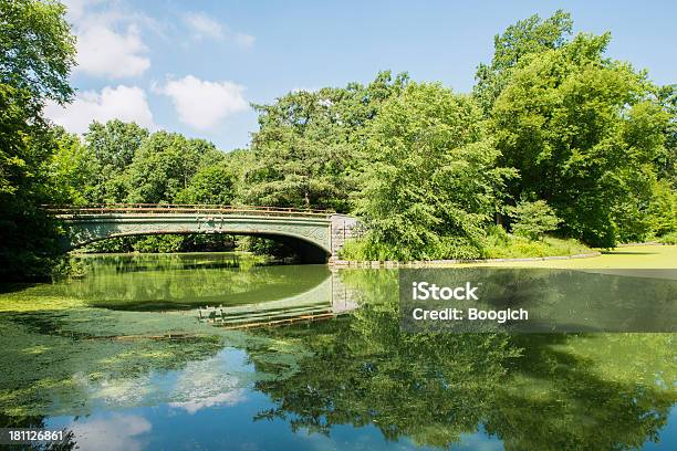 Photo libre de droit de Air Frais Dans Les Villes De Prospect Park À Brooklyn À New York Des Arbres banque d'images et plus d'images libres de droit de Brooklyn - New York