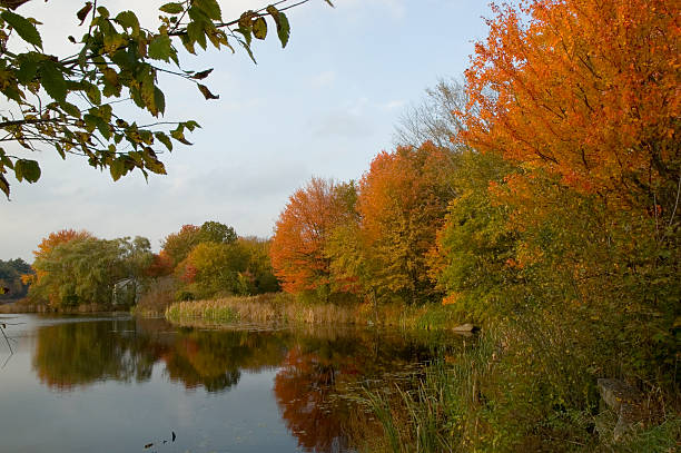 istock New England Pond in the Fall 181127053