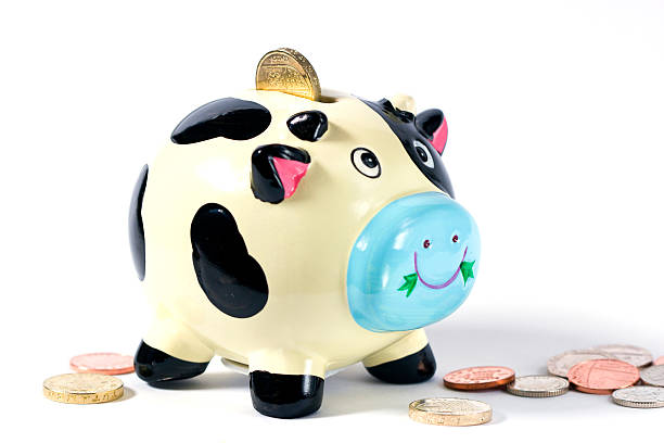 cash cow with change stock photo