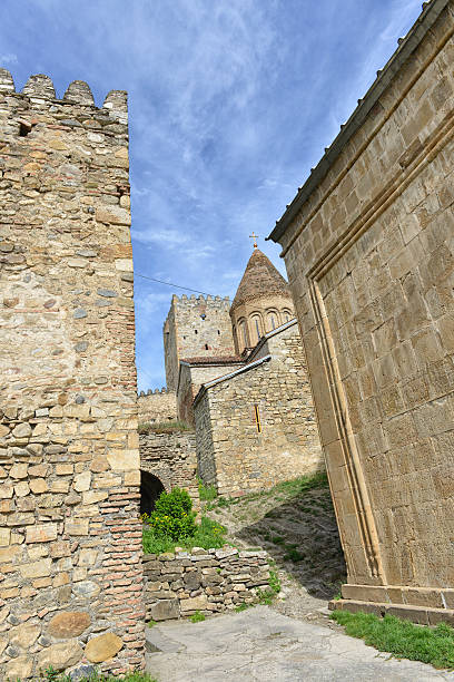 istock Ananuri Church and fortress 181127622
