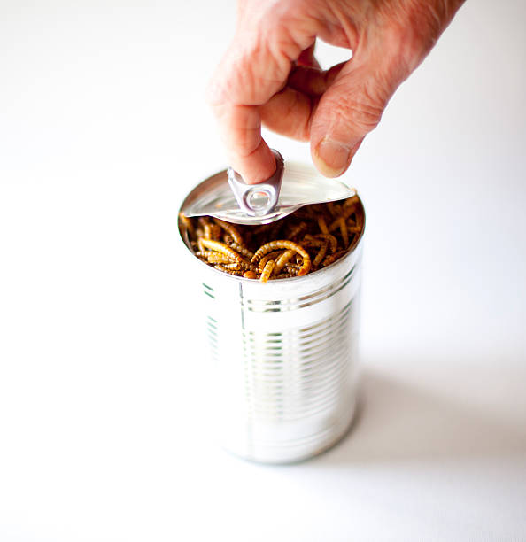 istock can of worms 181128058