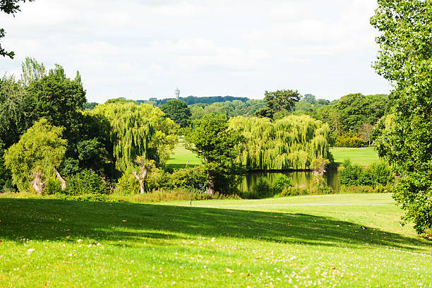 istock Markeaton Park and Lake 181128092