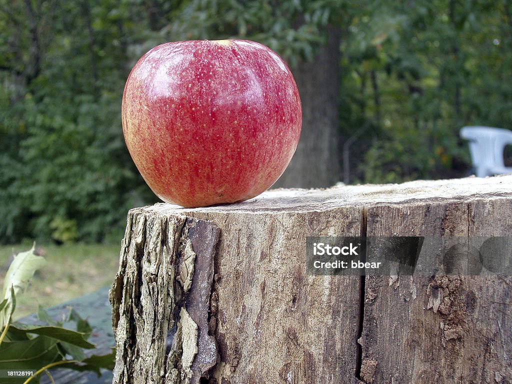 A lonely apple on Tree Stump - 로열티 프리 과일 스톡 사진