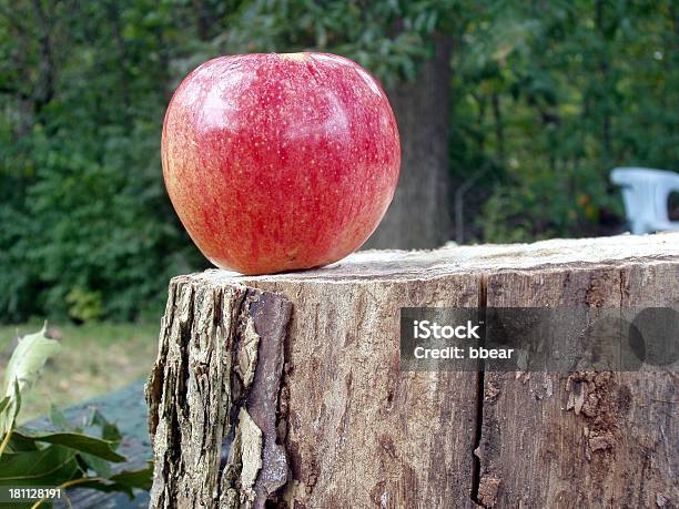 A Lonely Apple On Tree Stump 과일에 대한 스톡 사진 및 기타 이미지 - 과일, 그루터기-식물 부위, 단일 객체