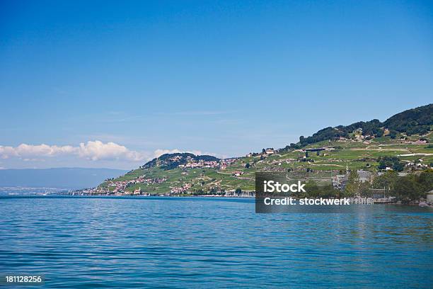 Swiss Riviera Tra Vevey E Chexbres - Fotografie stock e altre immagini di Acqua stagnante - Acqua stagnante, Ambientazione esterna, Ambientazione tranquilla