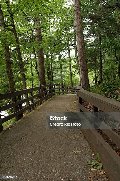 Trail Per Nulla - Fotografie stock e altre immagini di Albero - Albero, Asfalto, Bosco