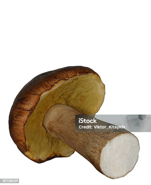 Steinpilzpilzen Stockfoto und mehr Bilder von Boletus Sp - Boletus Sp, Braun, Effektivität