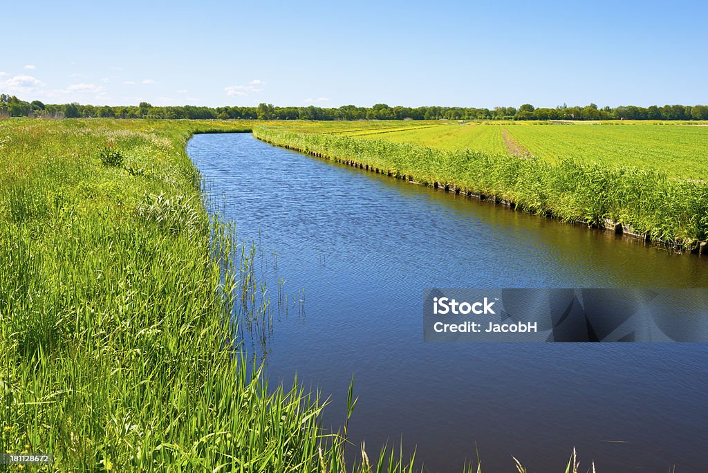 Dutch Polder Scene Dutch polder scene with a curved ditch with reed and spring flowers along a flat meadow Agricultural Field Stock Photo