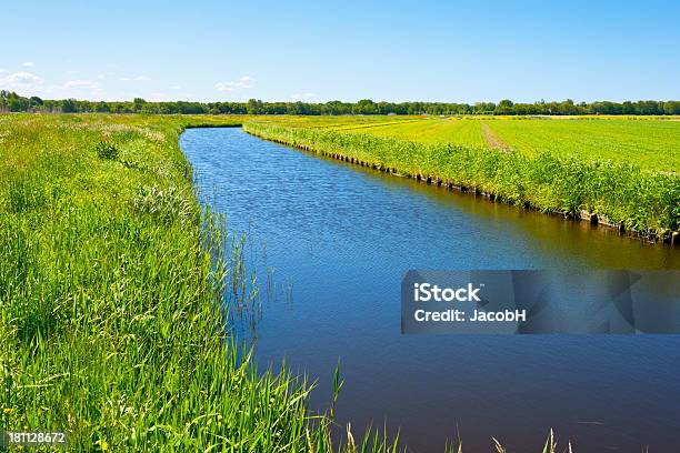 Dutch Polder Scene Stock Photo - Download Image Now - Agricultural Field, Agriculture, Backgrounds