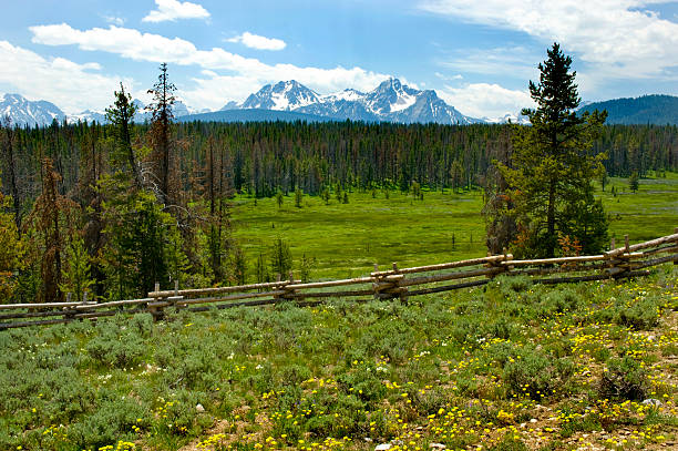 istock Sawtooth Mountains and Meadow, Idaho 181128719