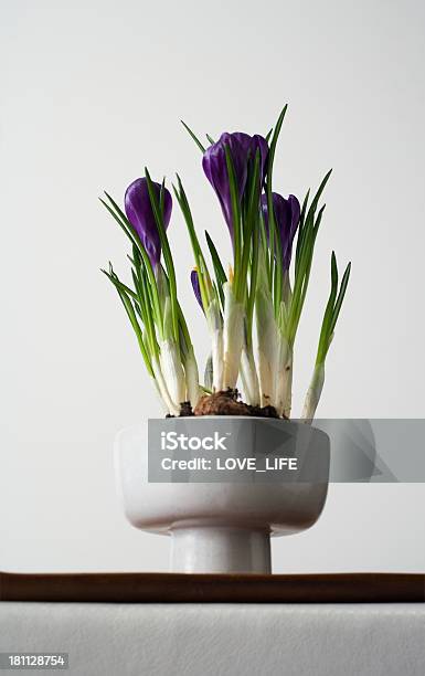 Foto de Primavera Crocus e mais fotos de stock de Apartamento - Apartamento, Arranjo de Flores, Arte e Artesanato - Assunto