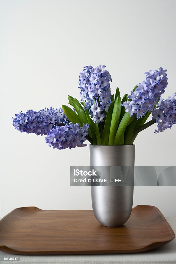 Hyacinths - Foto de stock de Flor libre de derechos