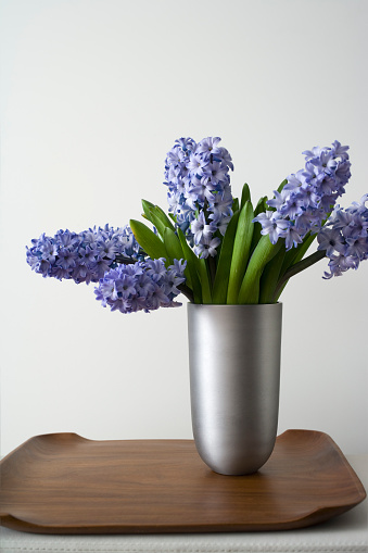 Vase of hyacinths in modern home.