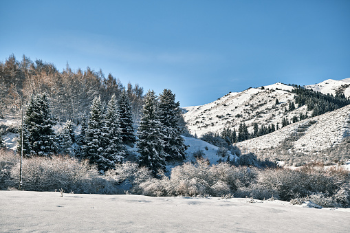 Winter mountain view after snowfall