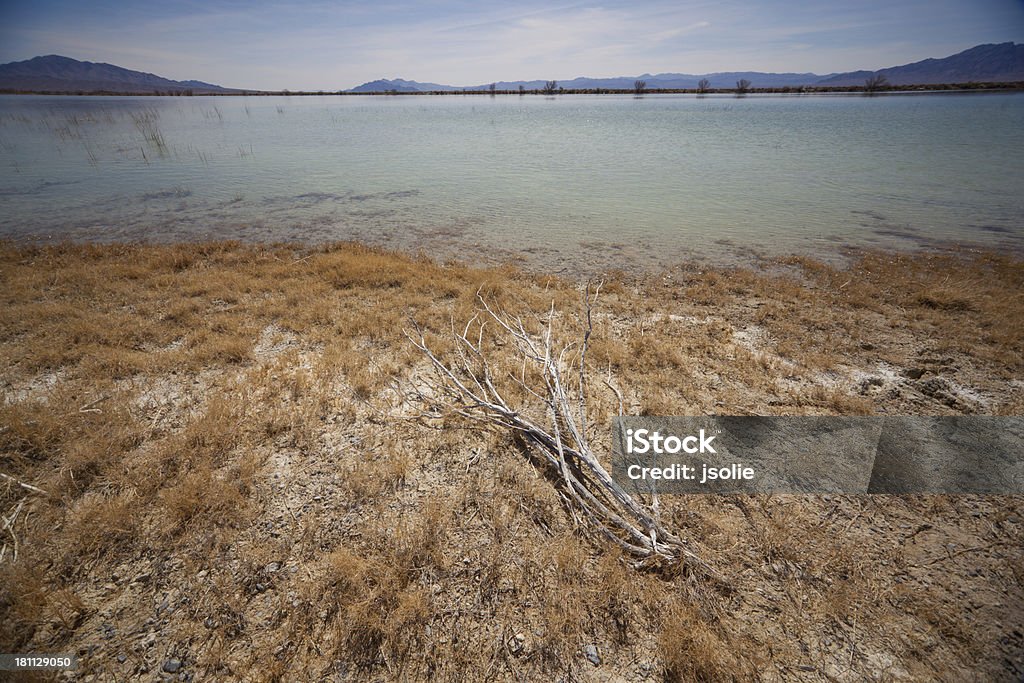 Desierto lago - Foto de stock de Abrevadero libre de derechos