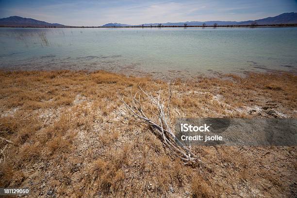 Desierto Lago Foto de stock y más banco de imágenes de Abrevadero - Abrevadero, Agua, Agua estancada