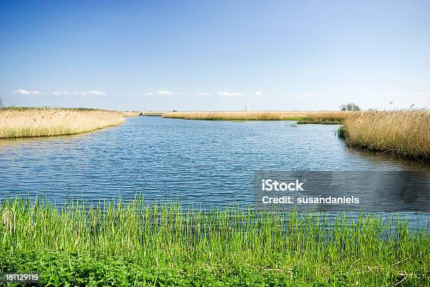 Paludi E Distante Faro - Fotografie stock e altre immagini di Acqua - Acqua, Ambientazione esterna, Canna palustre