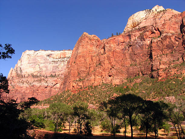 istock Zion Nation Park - red rock formations 181129907
