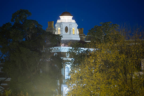 hay house - foto de acervo