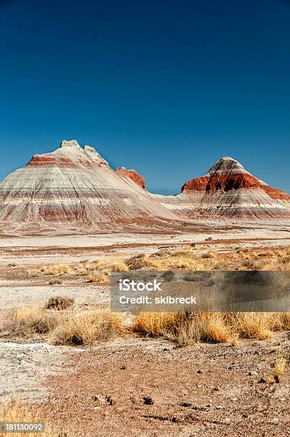 Pustynia Pstra W Arizona Usa - zdjęcia stockowe i więcej obrazów Park Narodowy Petrified Forest - Park Narodowy Petrified Forest, Bez ludzi, Erodowany