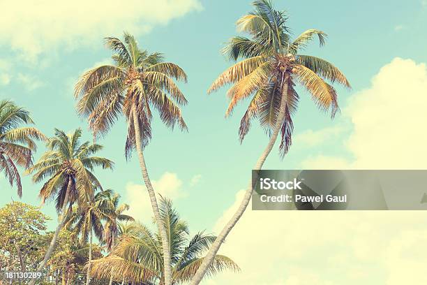 Vintage Palm Tree Trees Stock Photo - Download Image Now - Old-fashioned, Palm Tree, Retro Style