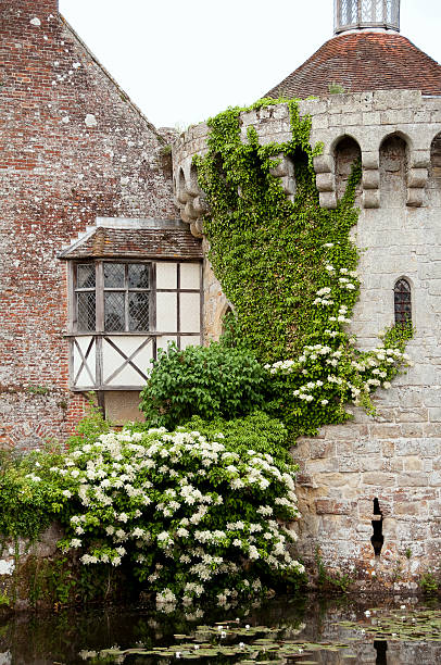 scotney castle, kent, uk - scotney castle foto e immagini stock