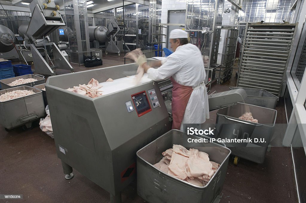 Fleischwolf Maschine in der Produktion der Lebensmittel factory. - Lizenzfrei Fleisch Stock-Foto