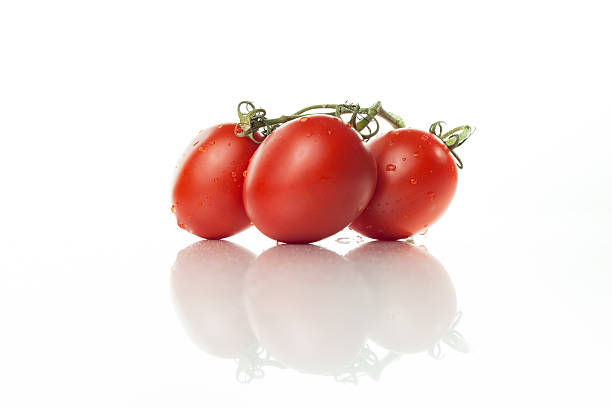 Roma Tomatoes On The Vine stock photo