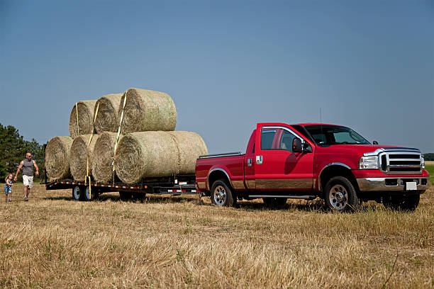 istock Load of Hay Bales Ready to Be Hauled Away 181130829