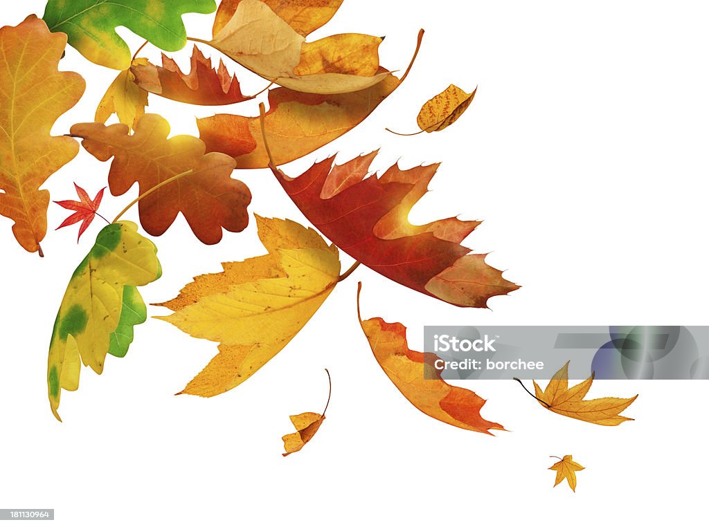 Autunno lascia cadere - Foto stock royalty-free di Autunno