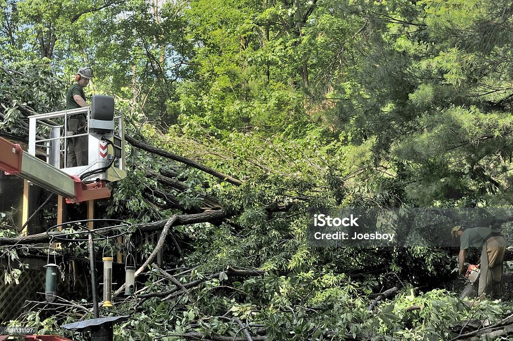 Foresters cancellazione Storm danni - Foto stock royalty-free di Adulto