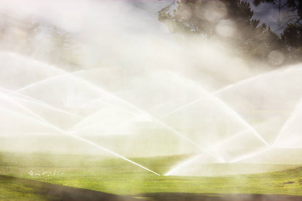 A nice view of a water fountain from the top as the soft spray make a nice blurry pattern