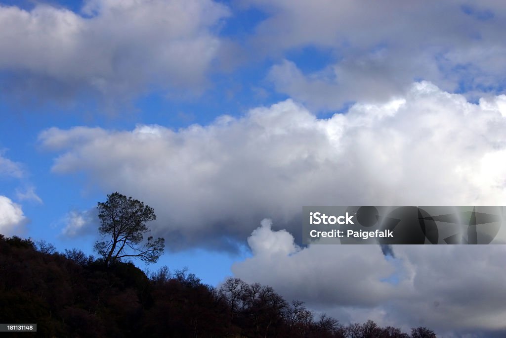 Solo - Foto de stock de Aire libre libre de derechos