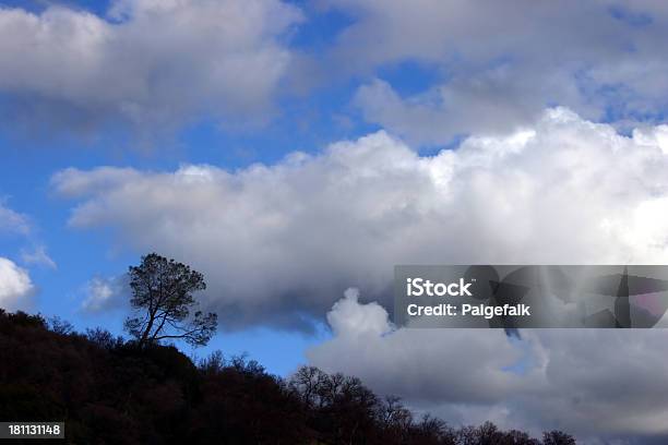 Solo Foto de stock y más banco de imágenes de Aire libre - Aire libre, Azul, Blanco - Color