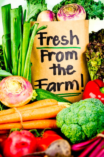 istock Fresh Organic Vegetables From the Farm 181131204