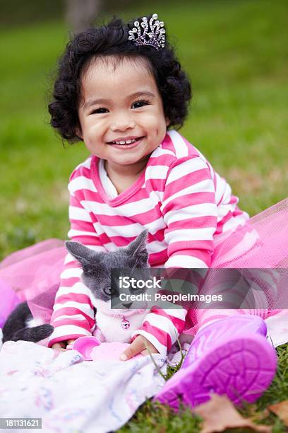 Shemi Mejor Amiga Foto de stock y más banco de imágenes de Gatito - Gatito, 12-17 meses, Agarrar