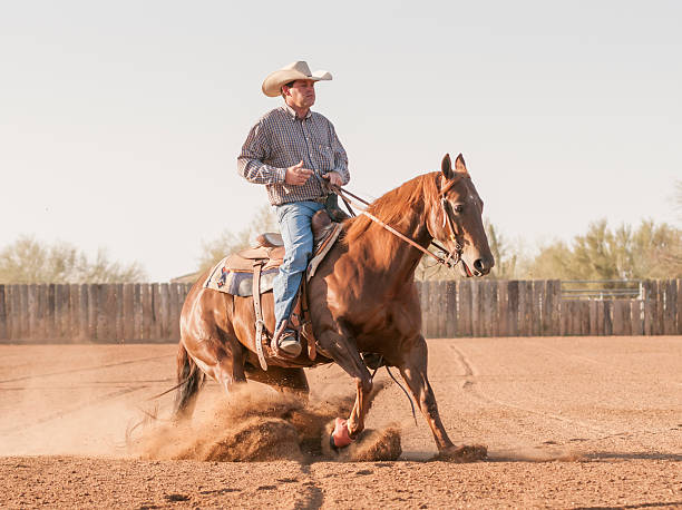 Cowboy Stopping a Horse