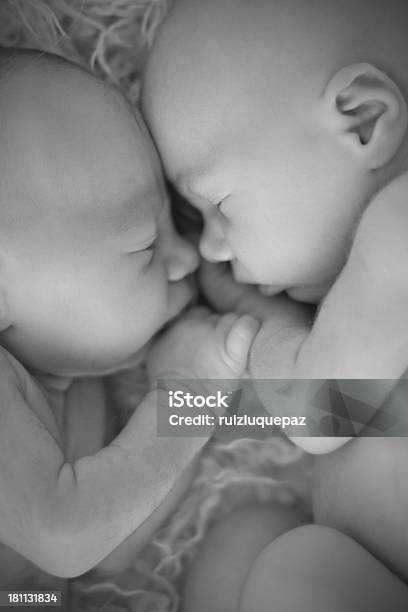 Recémnascido Twins - Fotografias de stock e mais imagens de 0-11 Meses - 0-11 Meses, Amor, Bebé
