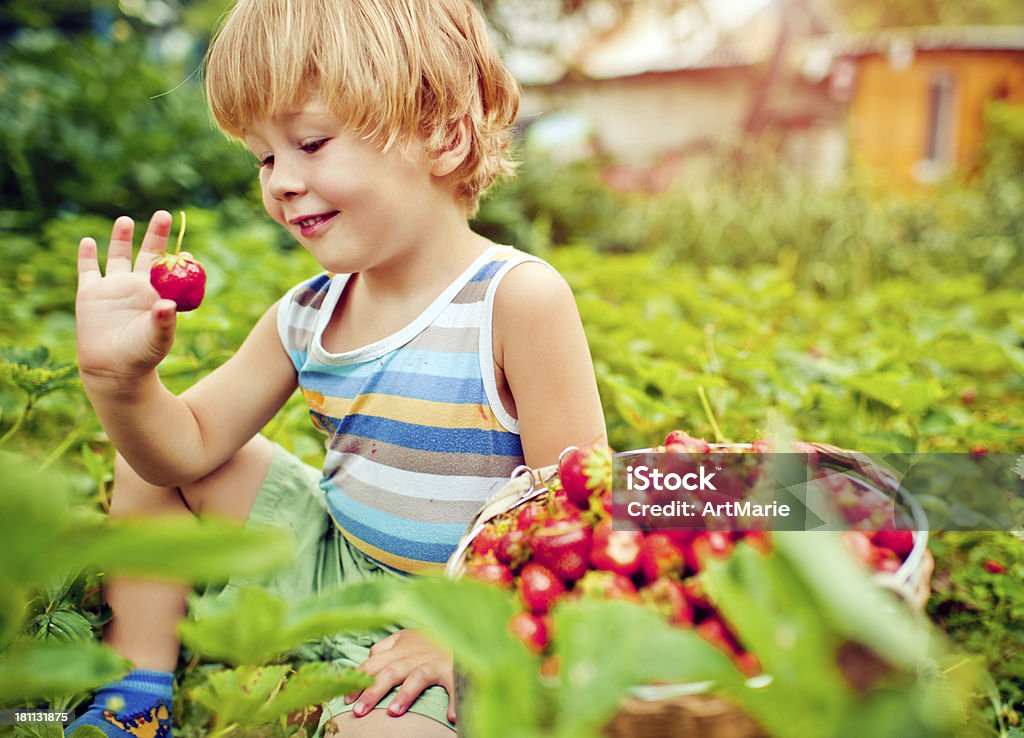 Süße Junge mit Erdbeere - Lizenzfrei 2-3 Jahre Stock-Foto