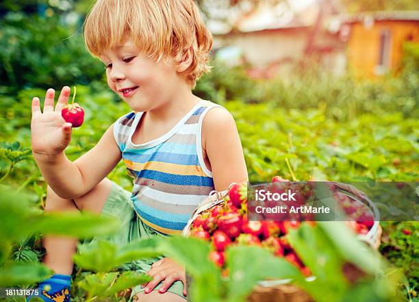 Süße Junge Mit Erdbeere Stockfoto und mehr Bilder von 2-3 Jahre - 2-3 Jahre, Agrarbetrieb, Aktiver Lebensstil