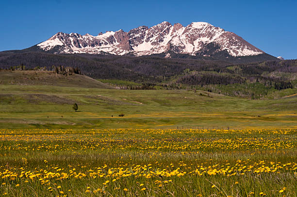 istock Gore Mountain Range in the Colorado Rocky Mountains 181132710