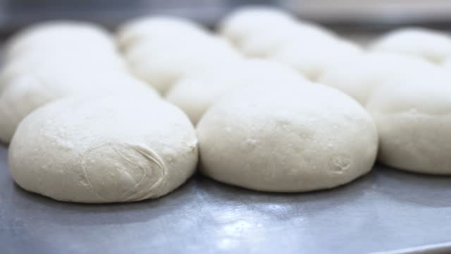Round pieces of dough lies in flour on the kitchen table. Cooking, bakery. The kneaded dough lies and waits to be baked