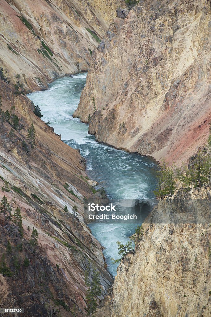 Grand Canyon of Yellowstone River - Zbiór zdjęć royalty-free (Respekt)