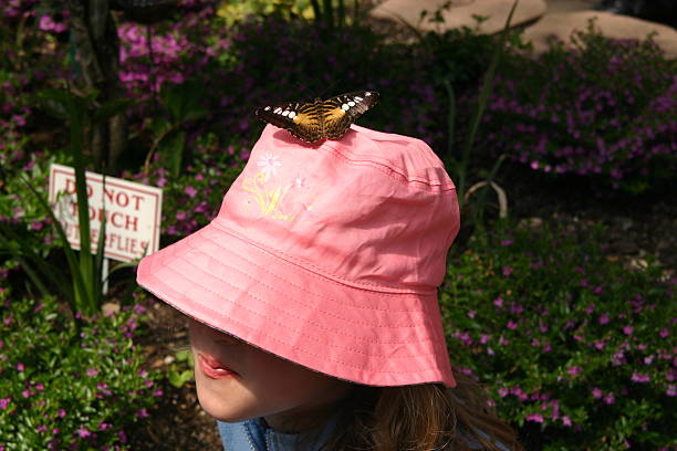 Butterfly Girl stock photo