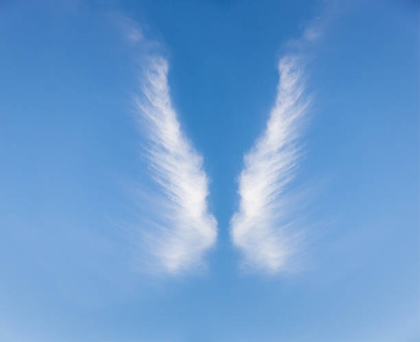 nuvens de asas de anjos - flugel imagens e fotografias de stock